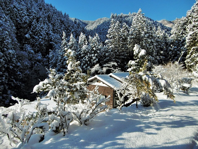 《冬季》
一夜で雪原、静寂に。瞑想はいちだんと深まります。
冬季に数回降雪あり、すぐ融け根雪にはなりません。
凍結あり、運転要注意。2011年2月撮影。
